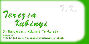 terezia kubinyi business card